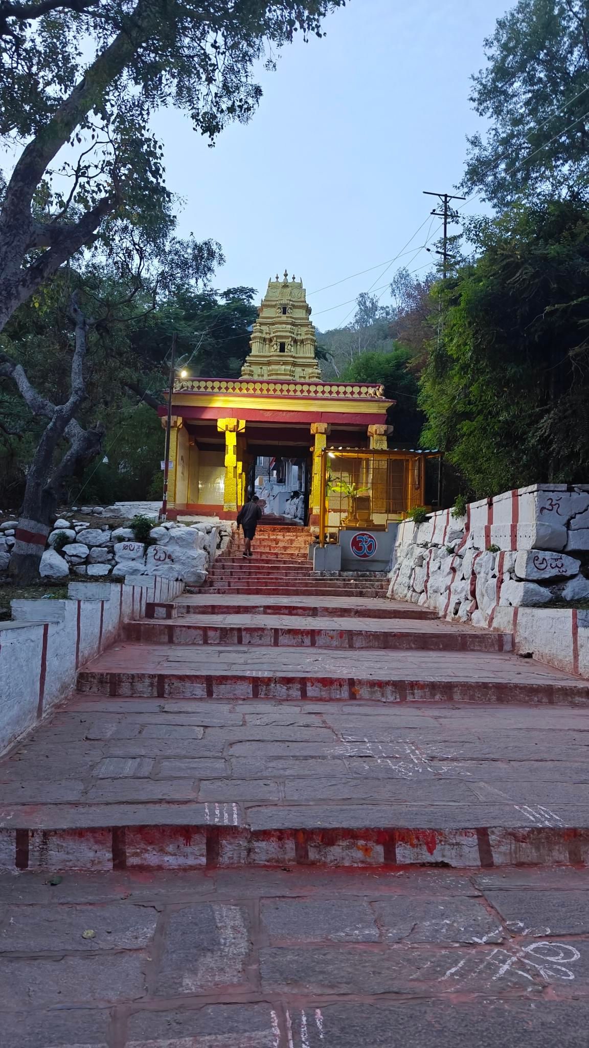 Chamundi Betta